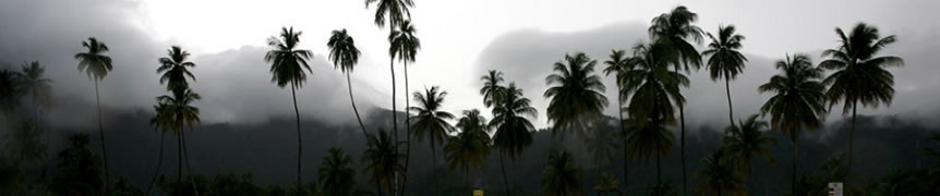 Limbo — Galt Alliance Films banner